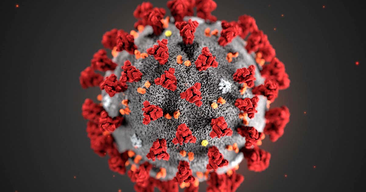 Coronavirus up close